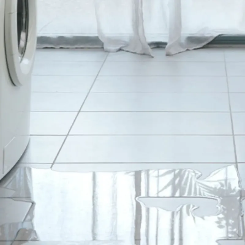 Appliance Leak Cleanup in Avon, IN