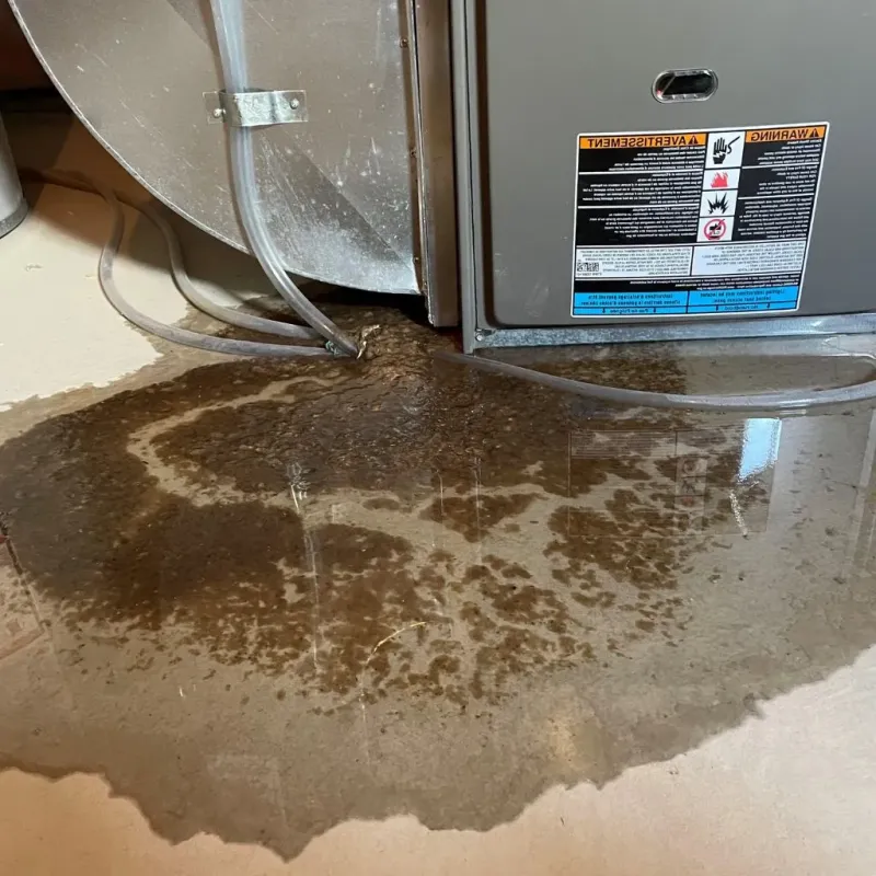 Pipe Burst and Leak Restoration in Avon, IN